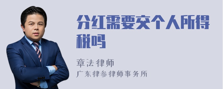 分红需要交个人所得税吗