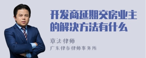 开发商延期交房业主的解决方法有什么