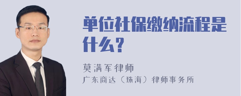 单位社保缴纳流程是什么？