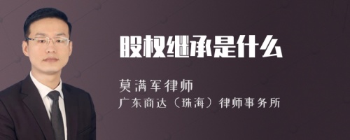 股权继承是什么