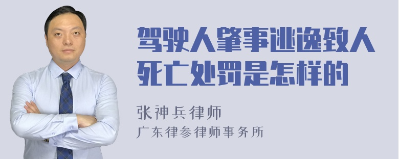 驾驶人肇事逃逸致人死亡处罚是怎样的