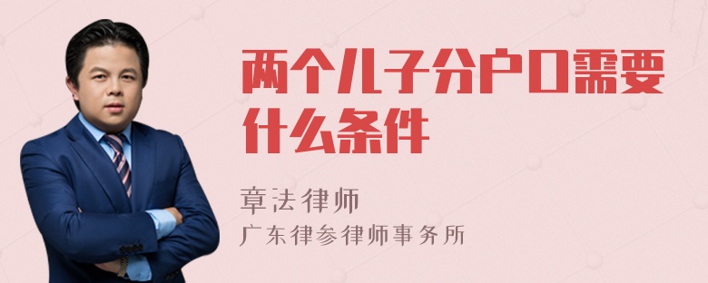 两个儿子分户口需要什么条件