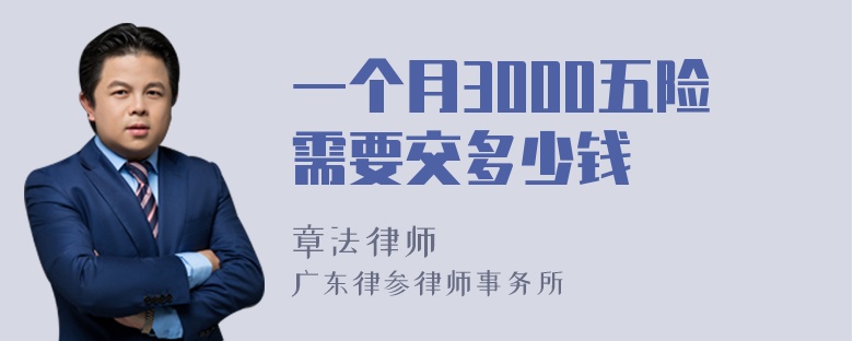 一个月3000五险需要交多少钱