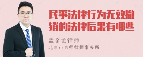 民事法律行为无效撤销的法律后果有哪些