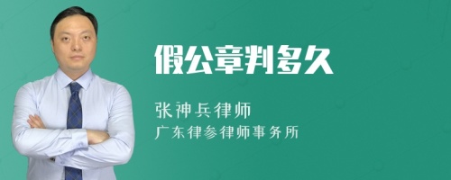 假公章判多久