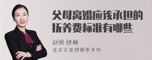 父母离婚应该承担的抚养费标准有哪些