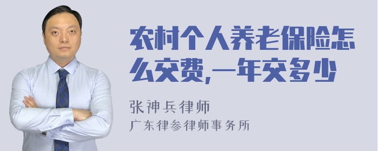 农村个人养老保险怎么交费,一年交多少