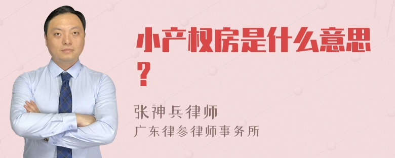 小产权房是什么意思？