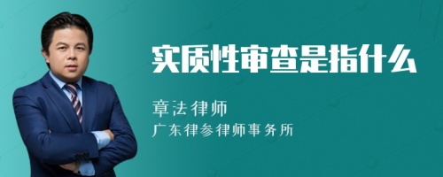 实质性审查是指什么