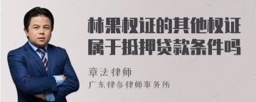 林果权证的其他权证属于抵押贷款条件吗