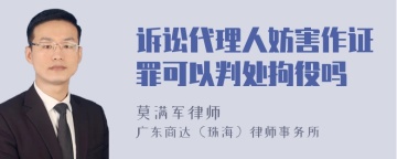 诉讼代理人妨害作证罪可以判处拘役吗