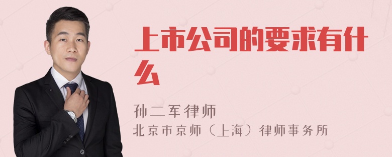 上市公司的要求有什么