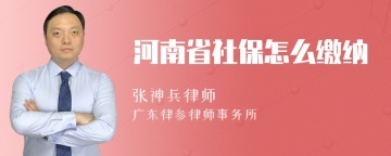 河南省社保怎么缴纳