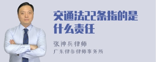 交通法22条指的是什么责任