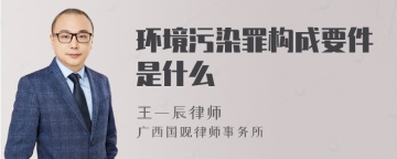 环境污染罪构成要件是什么