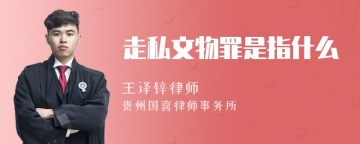 走私文物罪是指什么