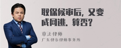 取保候审后, 又变成网逃. 算否?