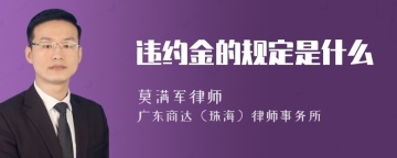 违约金的规定是什么