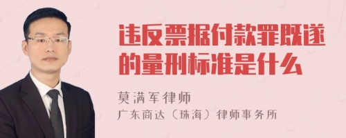 违反票据付款罪既遂的量刑标准是什么