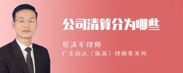 公司清算分为哪些