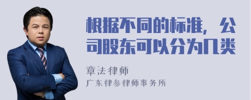 根据不同的标准，公司股东可以分为几类