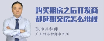 购买期房之后开发商却延期交房怎么维权