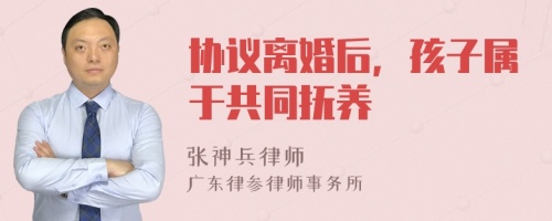 协议离婚后，孩子属于共同抚养