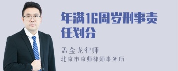 年满16周岁刑事责任划分