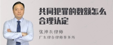 共同犯罪的数额怎么合理认定