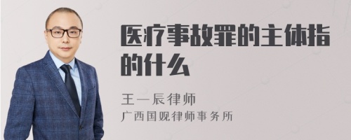 医疗事故罪的主体指的什么