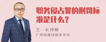 职务侵占罪的刑罚标准是什么？