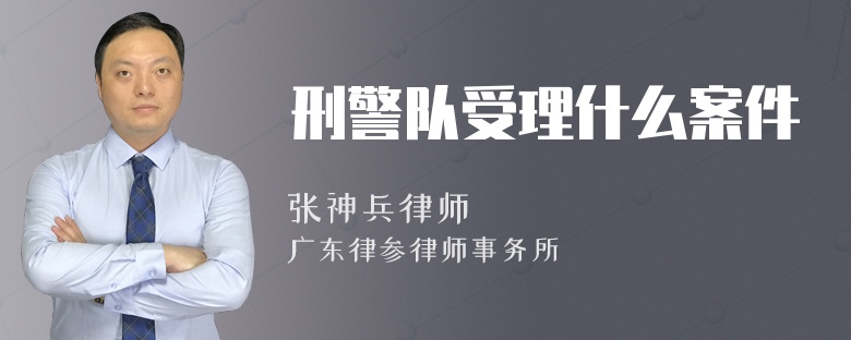 刑警队受理什么案件