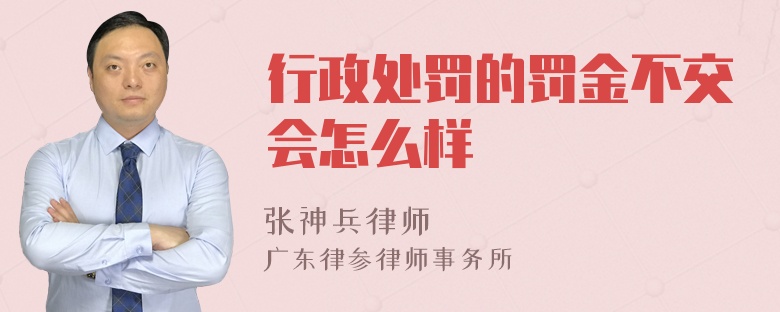 行政处罚的罚金不交会怎么样