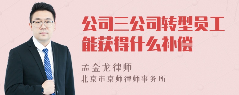 公司三公司转型员工能获得什么补偿