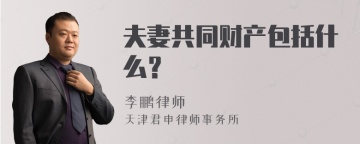 夫妻共同财产包括什么？