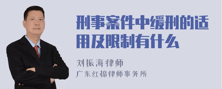 刑事案件中缓刑的适用及限制有什么