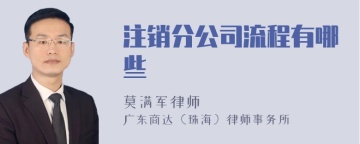 注销分公司流程有哪些