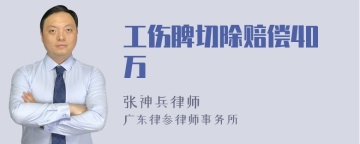 工伤脾切除赔偿40万