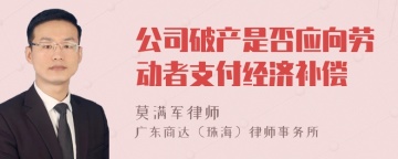 公司破产是否应向劳动者支付经济补偿