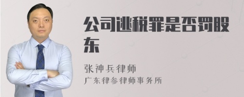 公司逃税罪是否罚股东