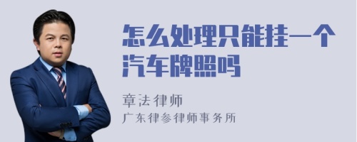 怎么处理只能挂一个汽车牌照吗