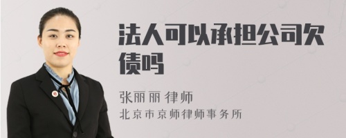 法人可以承担公司欠债吗