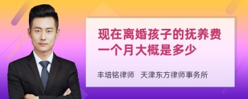 现在离婚孩子的抚养费一个月大概是多少