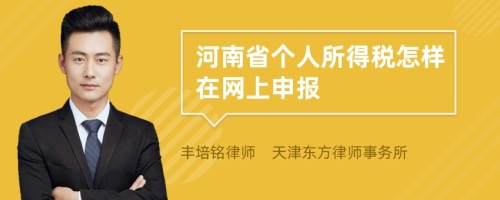 河南省个人所得税怎样在网上申报