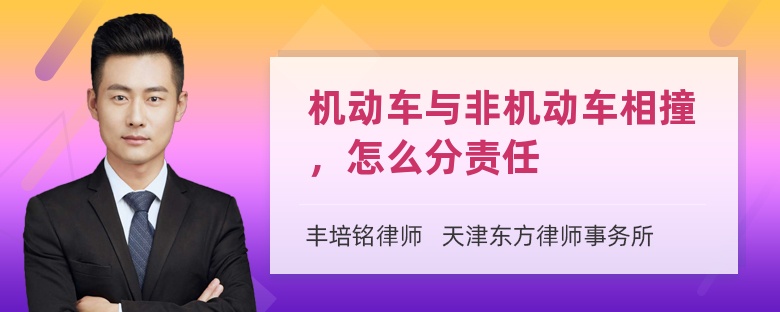 机动车与非机动车相撞，怎么分责任