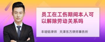 员工在工伤期间本人可以解除劳动关系吗