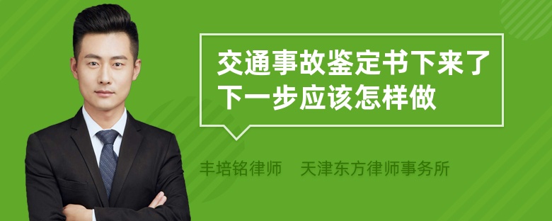 交通事故鉴定书下来了下一步应该怎样做