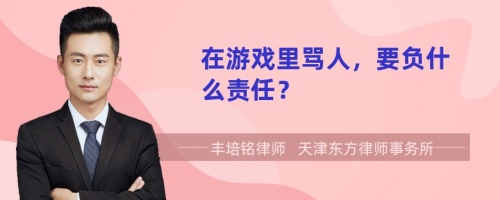 在游戏里骂人，要负什么责任？