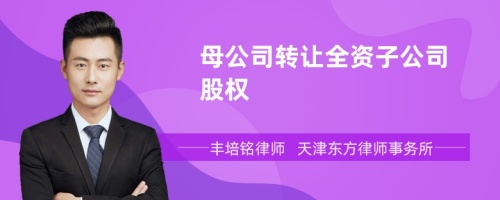 母公司转让全资子公司股权