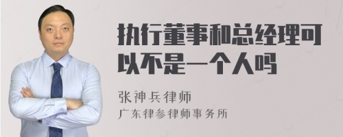 执行董事和总经理可以不是一个人吗